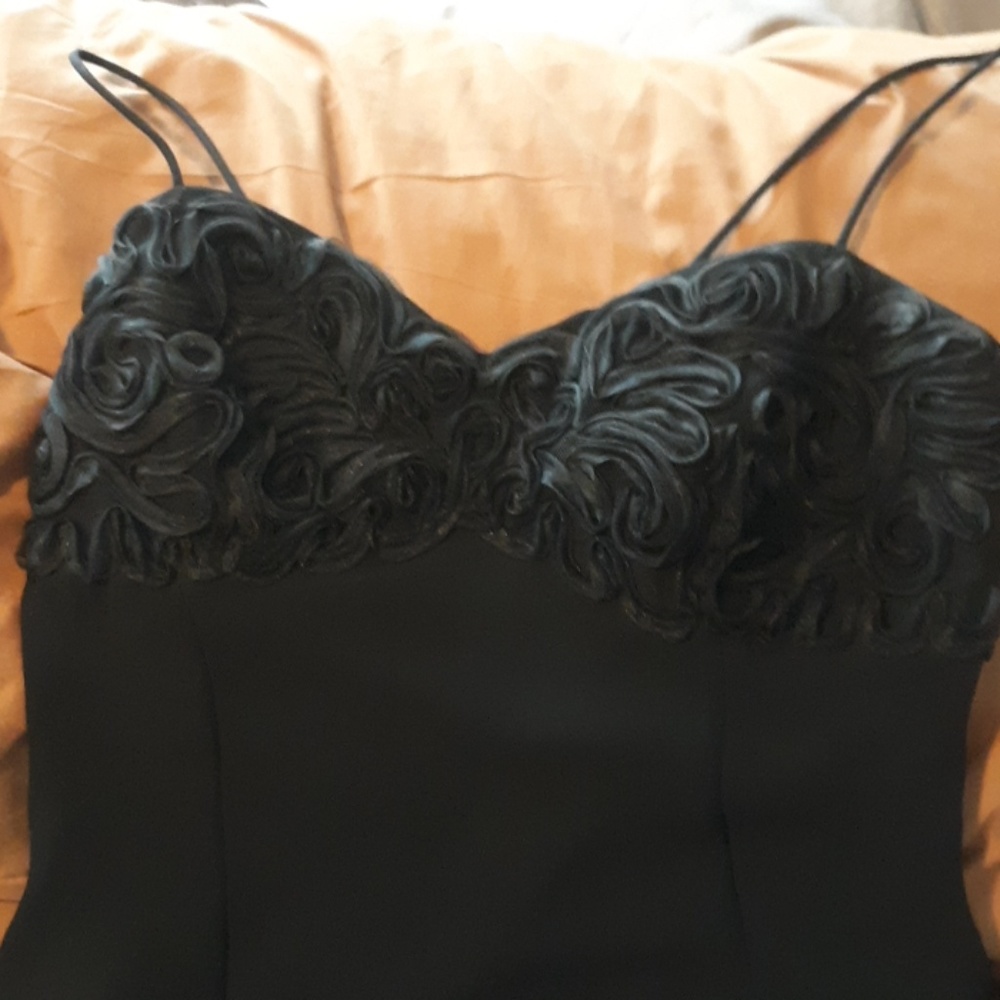 Beautiful Dave and Johnny dress only worn once